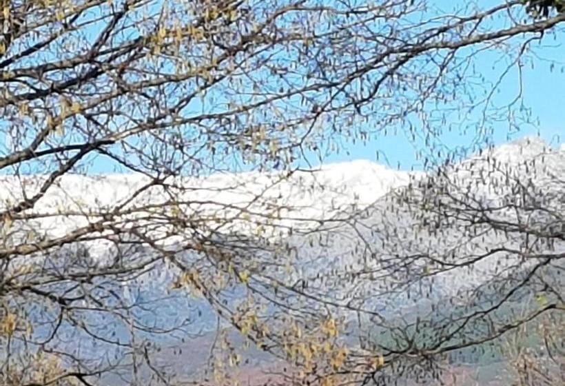 펜션 Hosteria Doña Conchi