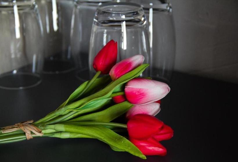 هتل La Vereda Only Adults