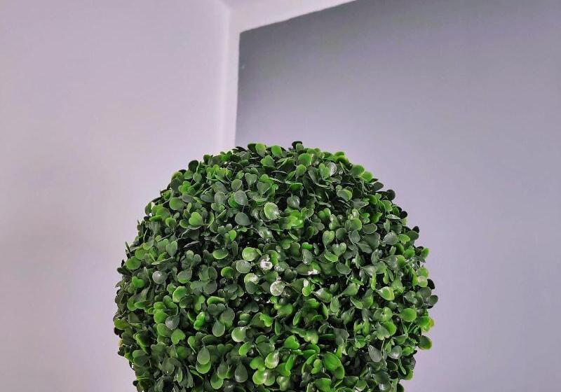 پانسیون Hostel Neon Tenerife