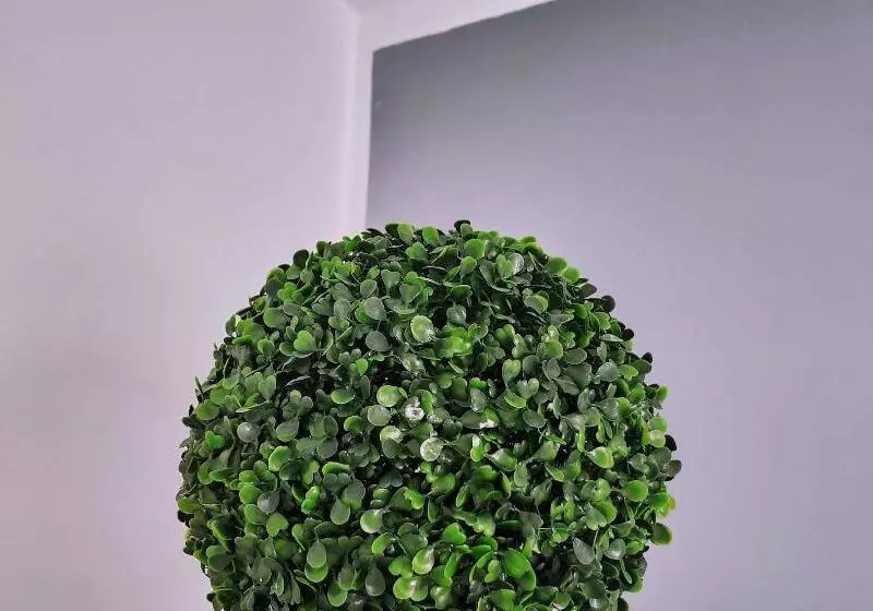 ペンション Hostel Neon Tenerife