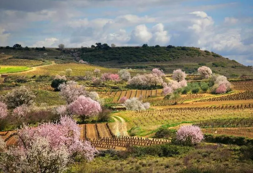 Pensión San Lorenzo