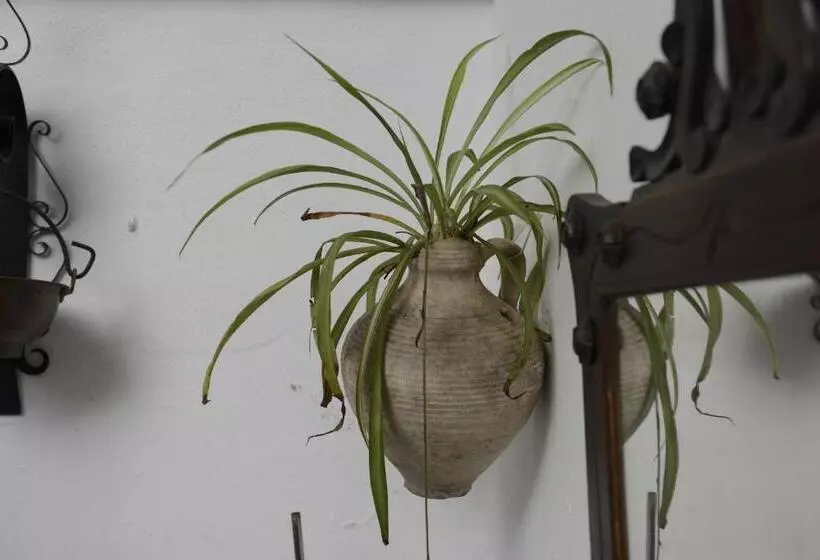 Majatalo Casa Rural Las Cadenas Del Cananeo