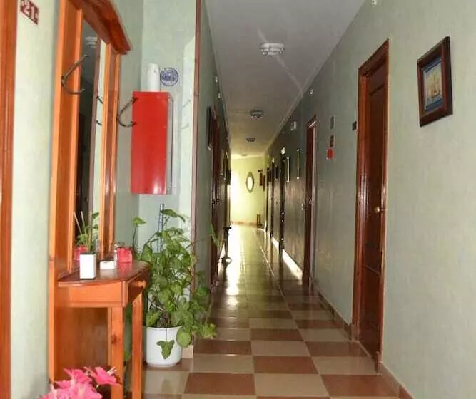 ペンション Hostal Andalucia De Arcos