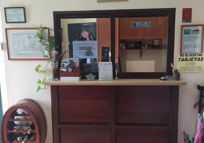 ペンション Hostal Andalucia De Arcos