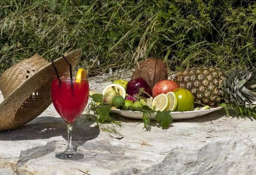 ペンション Jardines De Casablanca