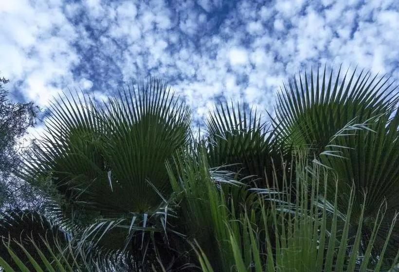 ペンション Jardines De Casablanca