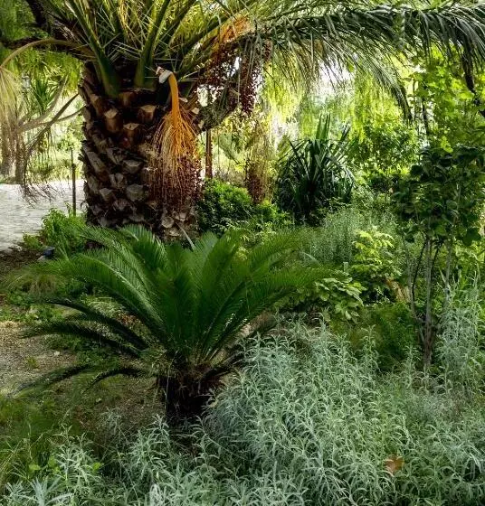 ペンション Jardines De Casablanca