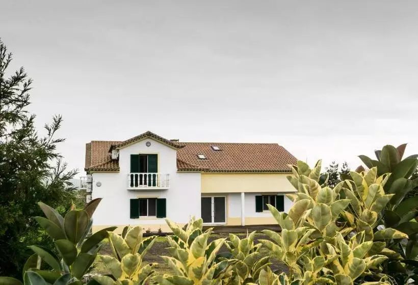 ユースホステル Estalagem Pico D Agua