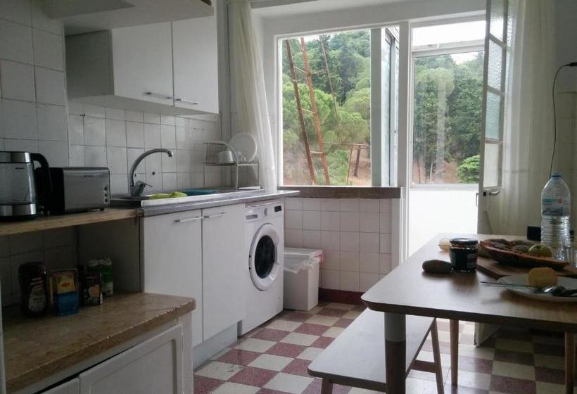 פנסיון As Mimosas