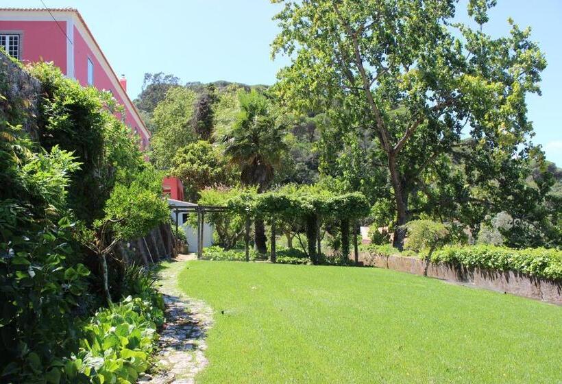 פנסיון Quinta De Sao Tadeu