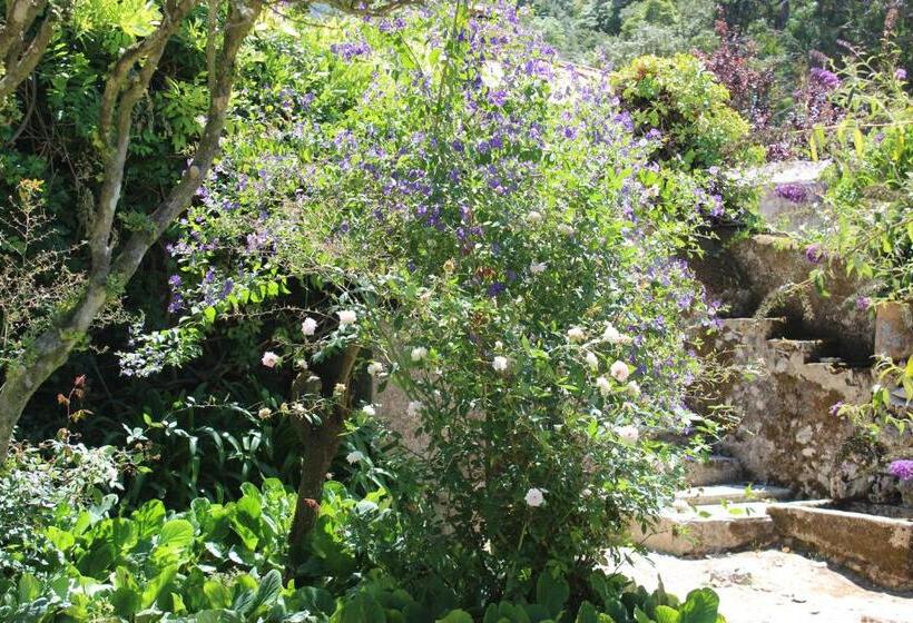 פנסיון Quinta De Sao Tadeu