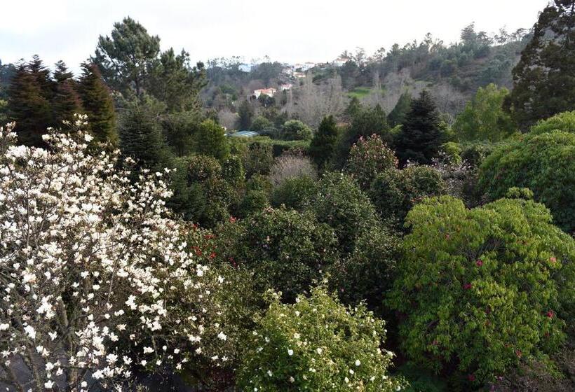 فندق Casas De Pedra