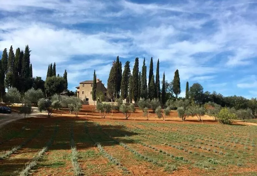 ホテル La Tenuta Di Castelvecchio