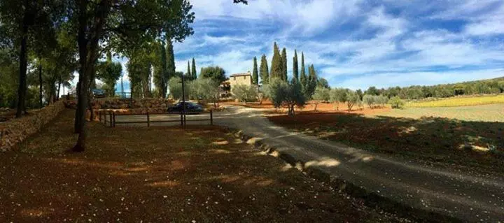 ホテル La Tenuta Di Castelvecchio