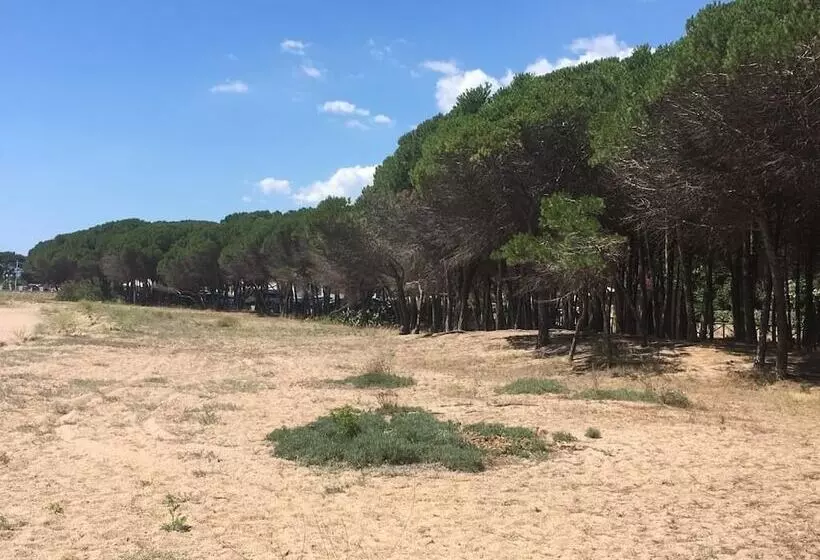 Residence Cort'e Accas