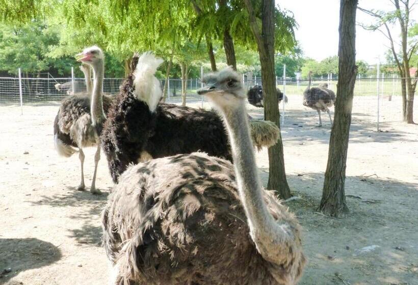 酒店 Agriturismo Dolce Luna