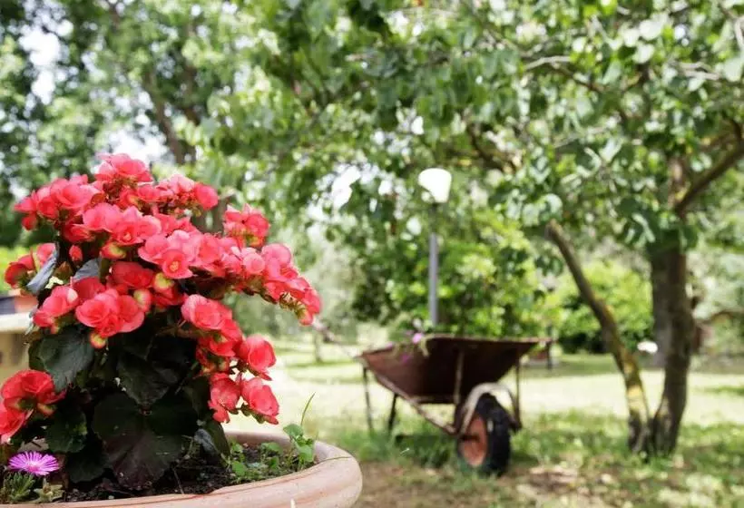 ホテル Agriturismo La Gioia