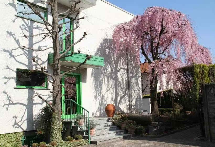 هتل Albergo Nardini