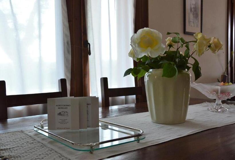 בית מלון כפרי Agriturismo Morgan