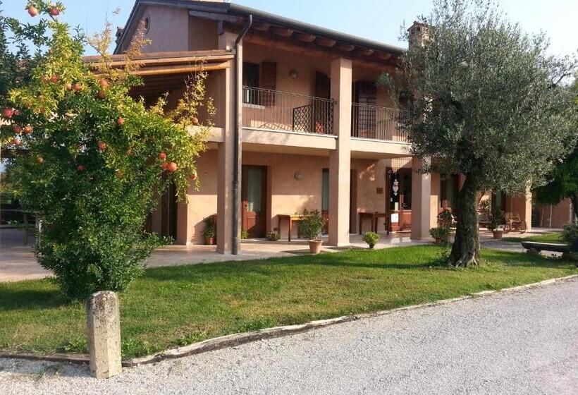 בית מלון כפרי Agriturismo Morgan