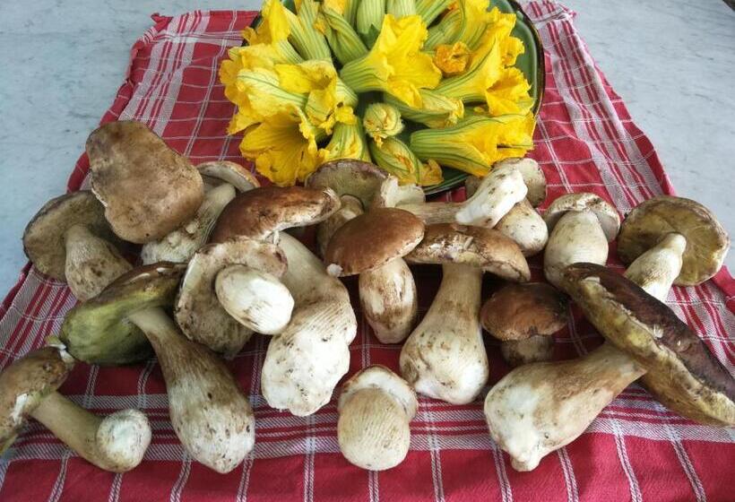 酒店 Agriturismo Serec