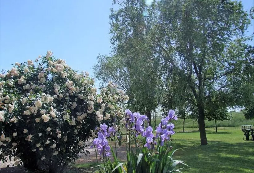 ホテル Agriturismo Sesta Presa