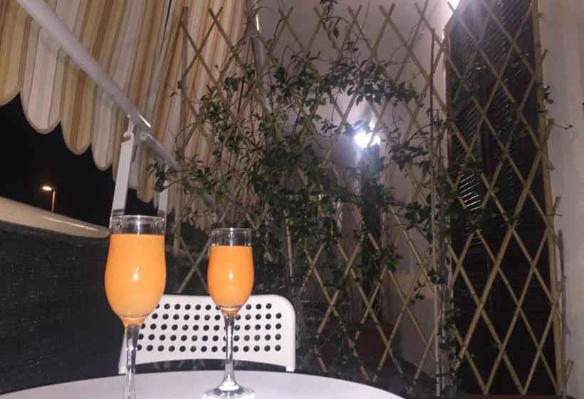 پانسیون Domus Stadio