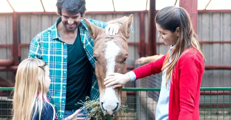 ホテル La Vista Del Taburno