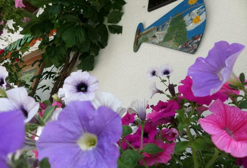 פנסיון Affittacamere Pizzeria Marmolada