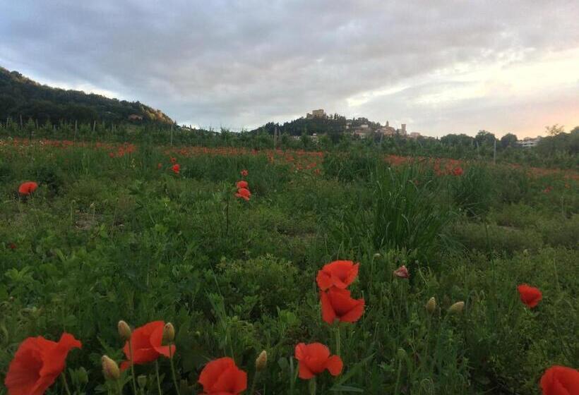 בית מלון כפרי Agriturismo 7 Colonne