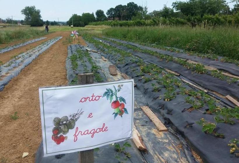 Отель Agriturismo Bosco Del Fracasso