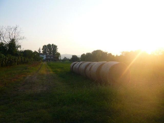 Отель Agriturismo Bosco Del Fracasso