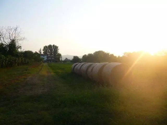 هتل Agriturismo Bosco Del Fracasso