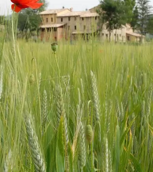 ホテル Agriturismo Verziere