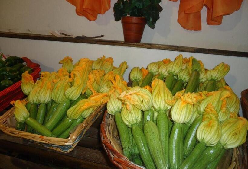 فندق Iacovino Country House