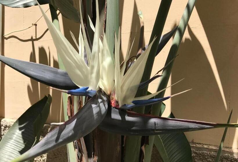 פנסיון Civico7