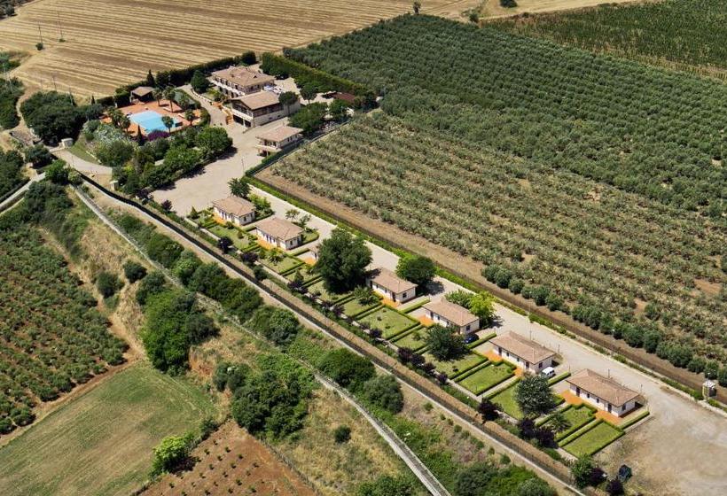 ホテル Tenuta Colle Degli Ulivi