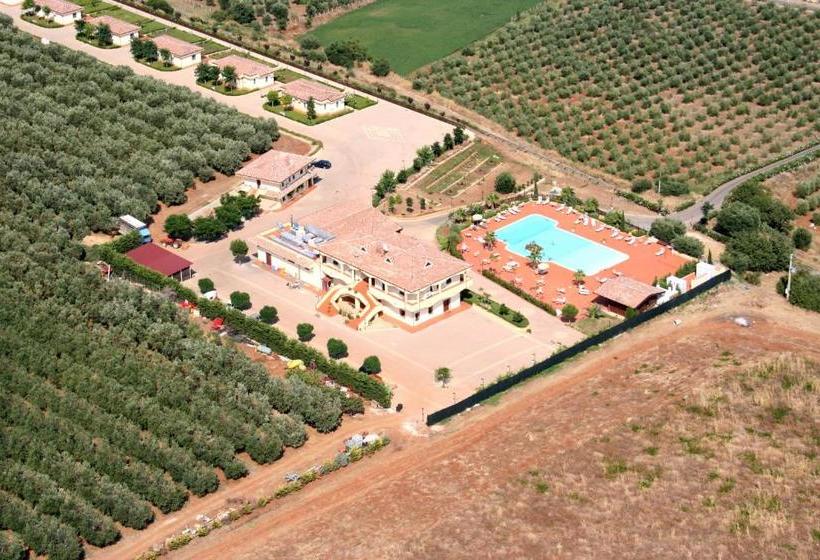 ホテル Tenuta Colle Degli Ulivi