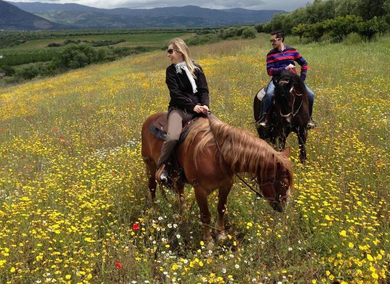 ホテル Tenuta Colle Degli Ulivi