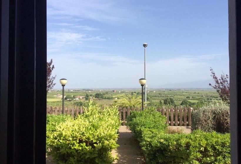 ホテル Tenuta Colle Degli Ulivi