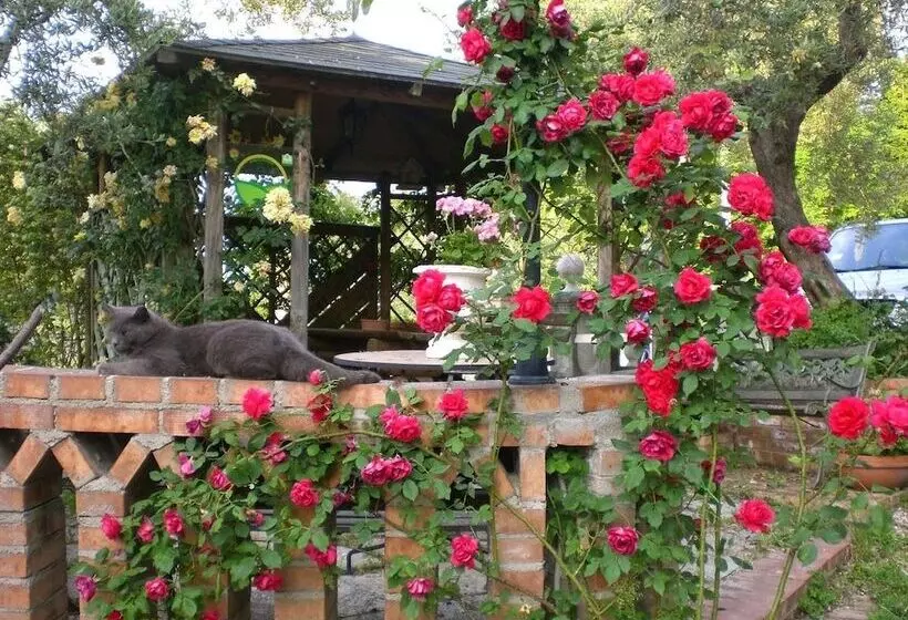 هتل Agriturismo Il Quadrifoglio