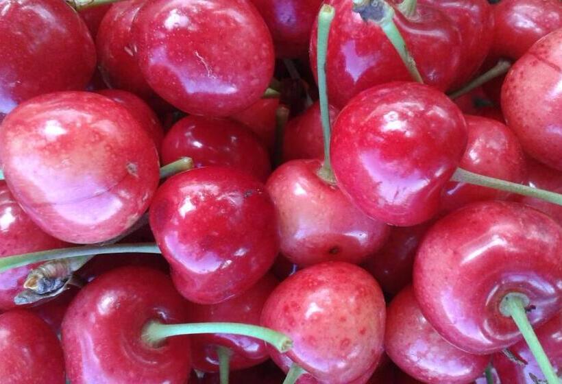 بنسيون Bed&braja