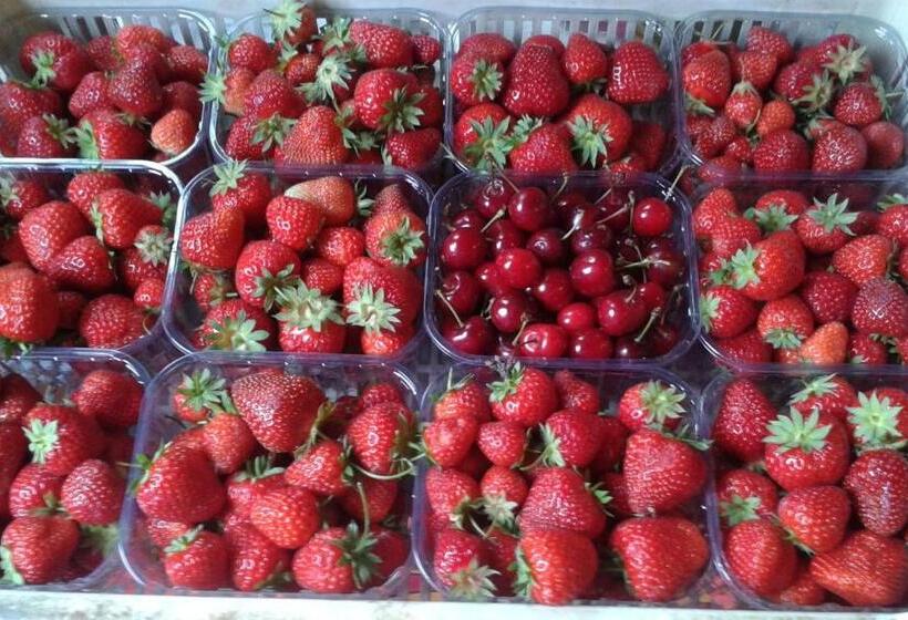 بنسيون Bed&braja