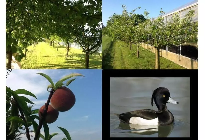 ペンション Bed&braja