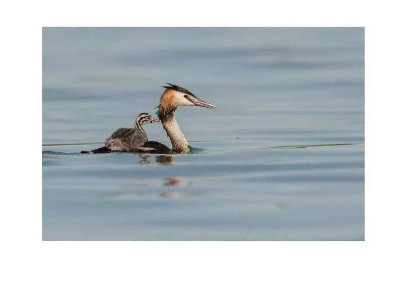 ペンション Bed&braja