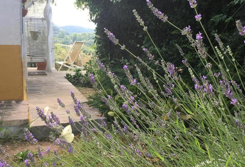 Пансион Ca' La Somara