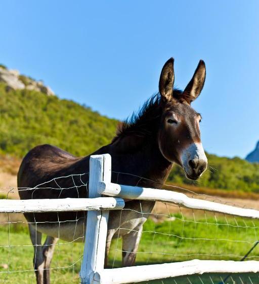 Пансион Ca' La Somara