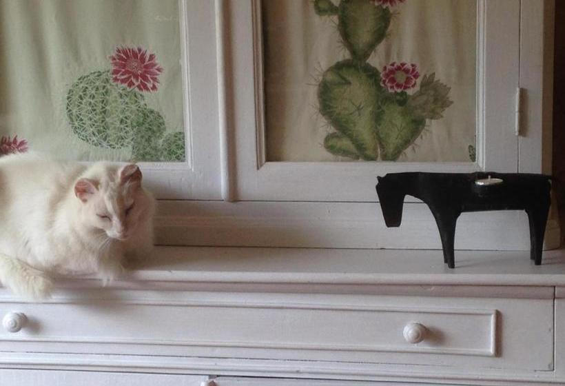 Пансион Ca' La Somara