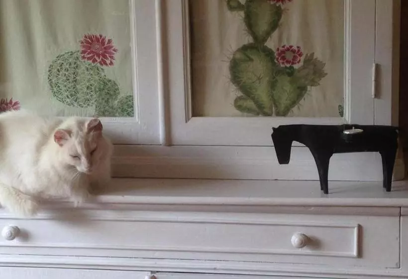 ペンション Ca' La Somara