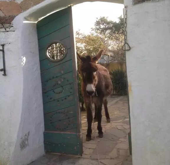 ペンション Ca' La Somara